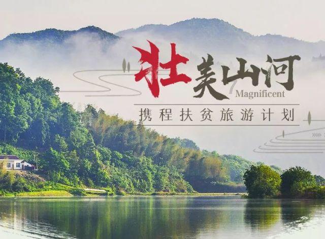 狐狸的旅程